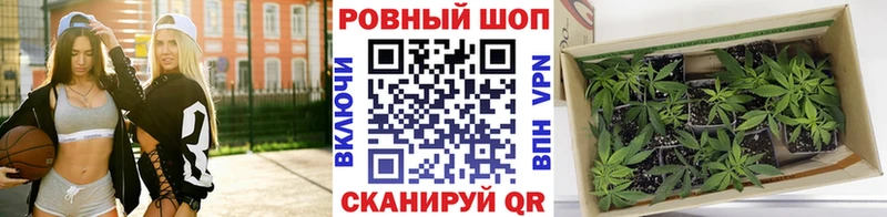 Купить закладку COCAIN  Меф мяу мяу  Кодеин  Каннабис  ГАШ  Ессентукская
