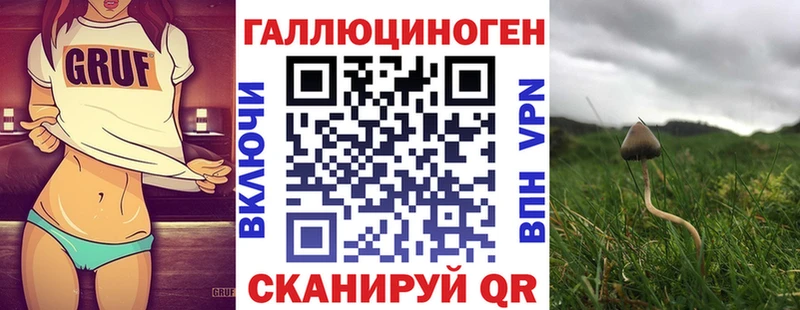 Купить  Ессентукская  Псилоцибиновые грибы Magic Shrooms 