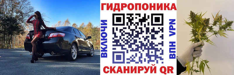 Купить где  Ессентукская  Бошки марихуана SATIVA & INDICA 